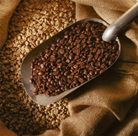 Fresh Roasted Coffee Beans