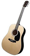 acoustic guitar