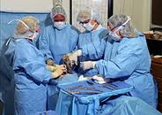surgical technologists surgical technologists