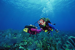 dive watch