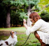 Dog Training
