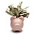5 Things No One Ever Told You About Personal Finance