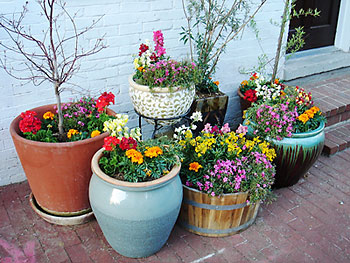container garden ideas