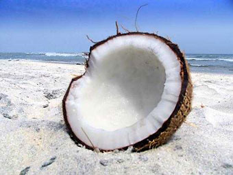 Coconut Oil