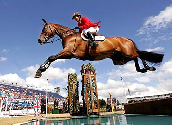 competitive horse shows