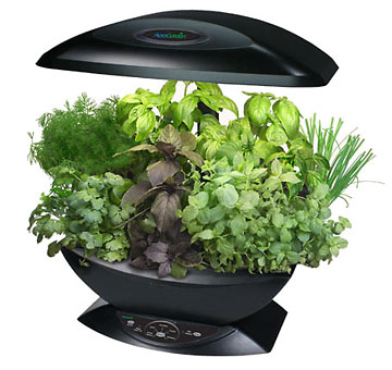 hydroponics